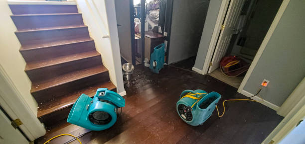 Best Basement water damage restoration  in Jamestown, KY