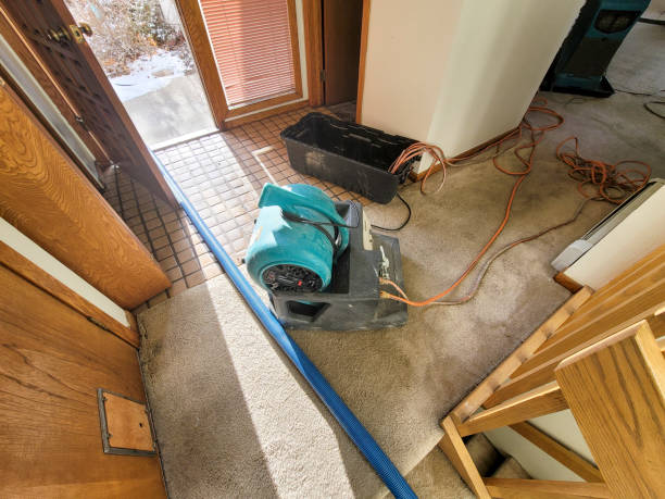 Best Water damage restoration near me  in Jamestown, KY