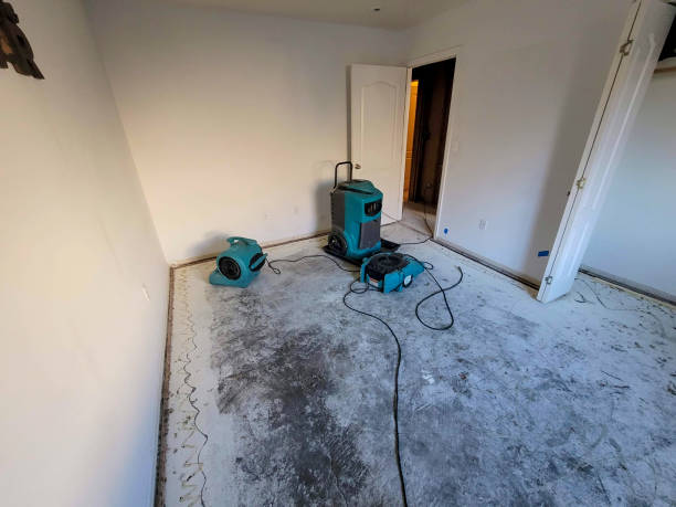 Best Commercial water damage restoration  in Jamestown, KY