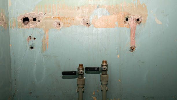 Trusted Jamestown, KY Water damage restoration Experts