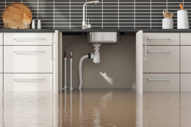 Best Flooded house restoration  in Jamestown, KY