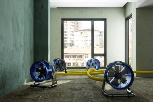 Best Water damage restoration near me  in Jamestown, KY