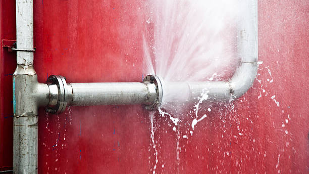 Best Water damage contractors near me  in Jamestown, KY