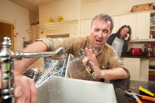 Best Professional water damage repair  in Jamestown, KY